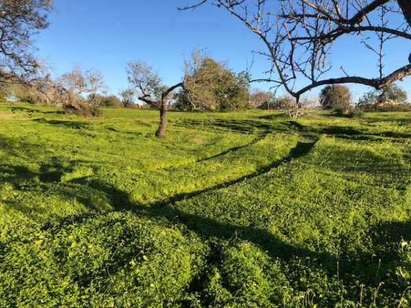 Quinta do Caracol